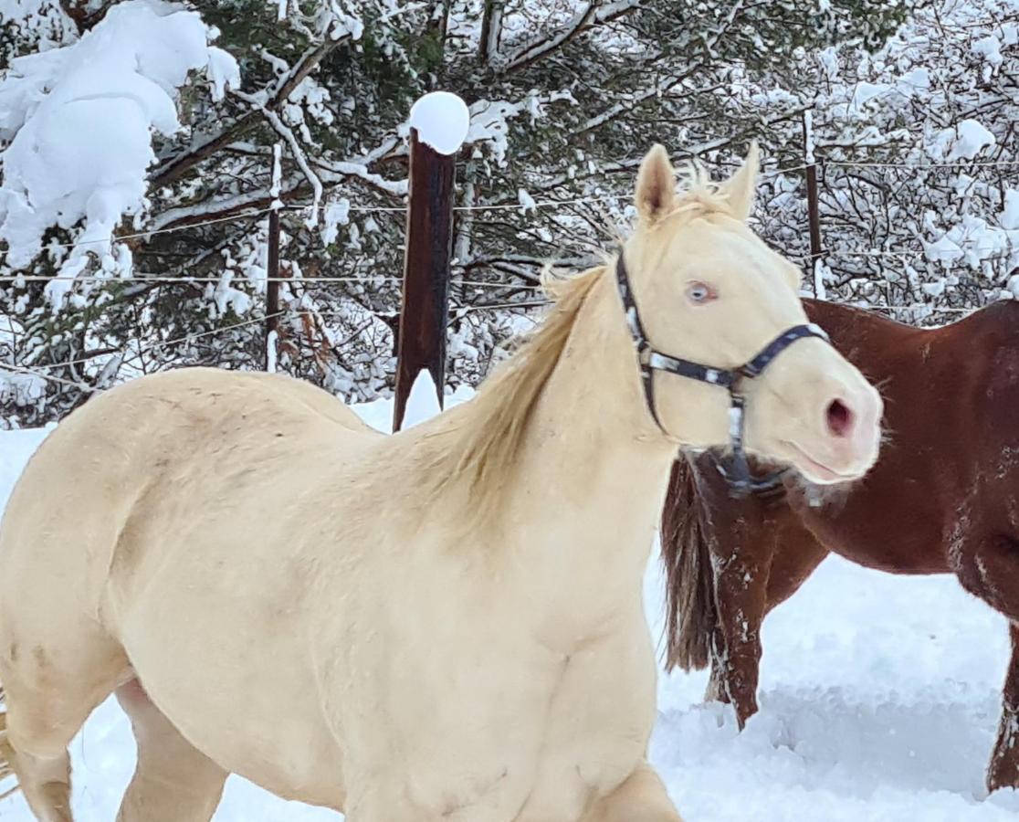 Вилла Haras De Seranon Экстерьер фото