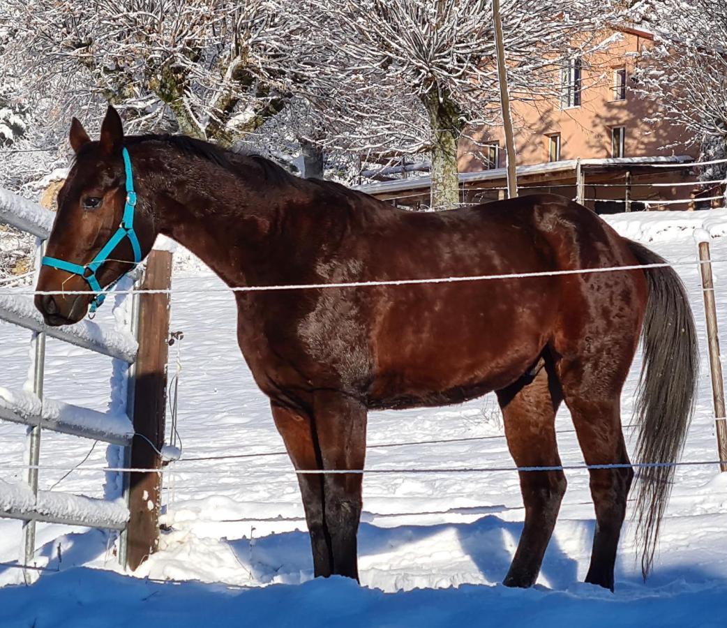 Вилла Haras De Seranon Экстерьер фото